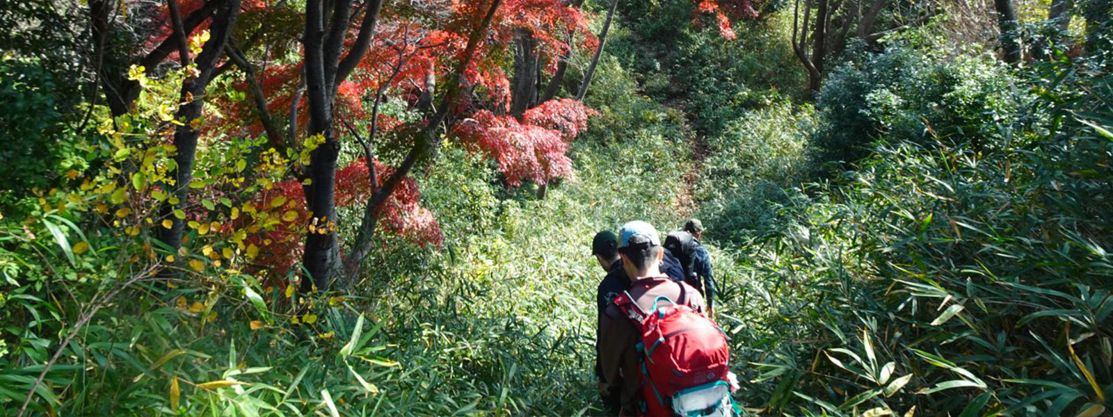 2025年11月20日（木）〜22日（土）ガイド資格取得者のための「養成指導講習・検定」のご報告（兵庫県）