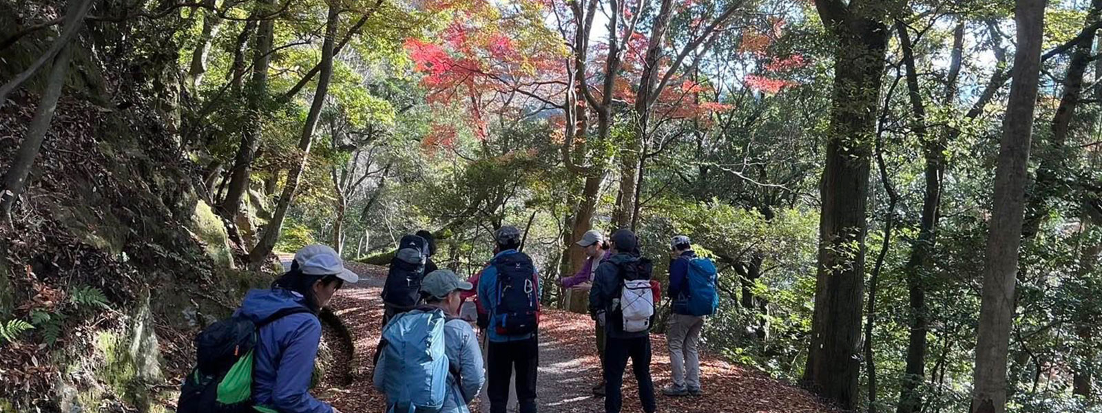 2025年11月27日植物研修のご報告（奈良県）